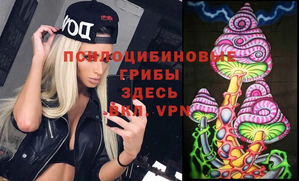 а пвп мука Алзамай