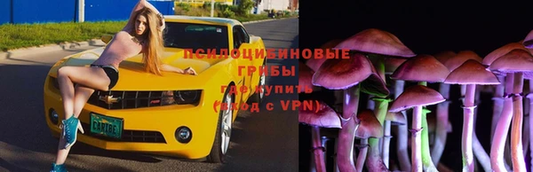 дурь Алексин
